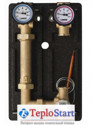 Насосная группа HERZ PUMPFIX Calis TS-E 1" Kvs 5,28 (без насоса) интернет магазин